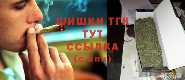 молекула духа Гусиноозёрск