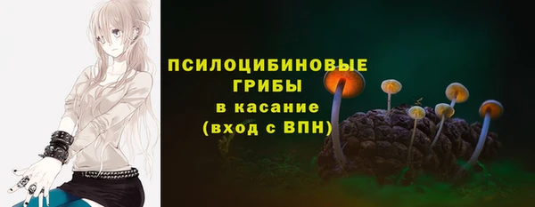 молекула духа Гусиноозёрск