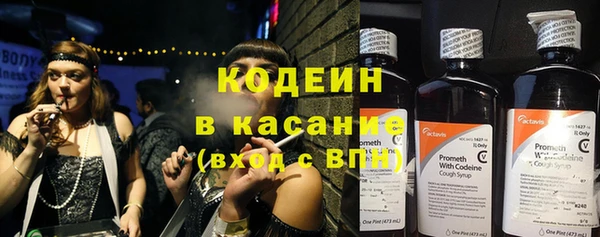 молекула духа Гусиноозёрск