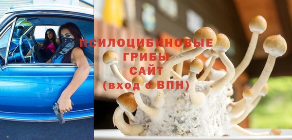 молекула духа Гусиноозёрск